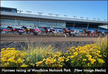 Fields Set For Mohawk Million, Metro