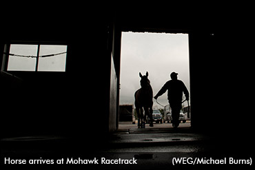 Trotting Elims Drawn At Mohawk