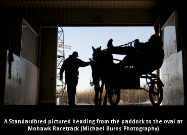 ‘Cup’ Eligibles Qualify At Mohawk