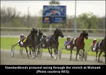 Stars, Cup Eligibles Qualify At Mohawk