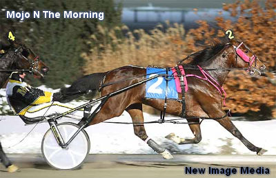 Lifetime Dream Lid Lifter On Monday