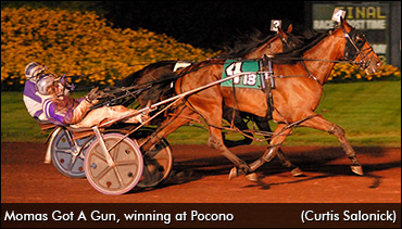Breeder Seeks Jug-Jugette Double