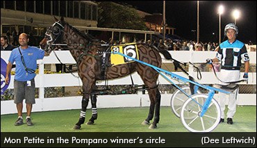 The Horse Becomes A Canvas