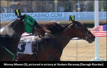 Money Maven Is Merciless