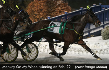Monkey On My Wheel Delivers In Preferred