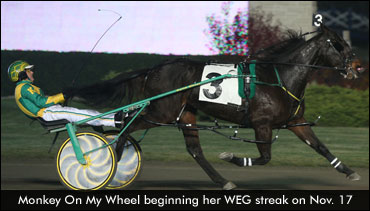 Monkey On My Wheel Triples At WEG