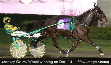 Monkey On My Wheel Wins 2013 Debut