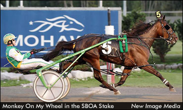 'Monkey' Streaks To SBOA Win