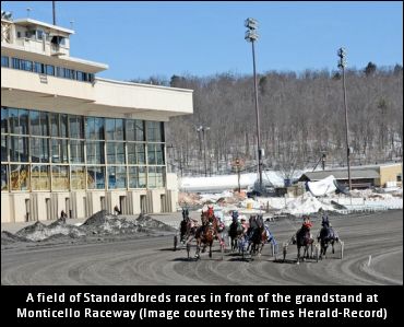 Officials Comment On Horse Shortage