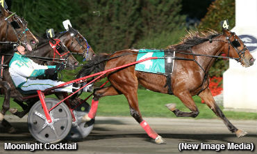 Woodbine Fall-Winter Meet Underway