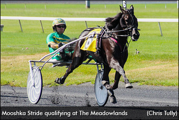 Talented Two-Year-Olds On Parade