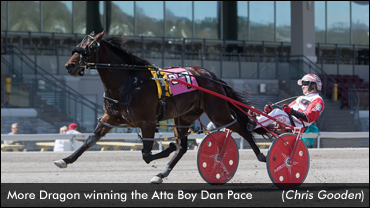 More Dragon Wins Series Championship