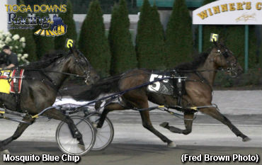 Record Setting Night At Tioga