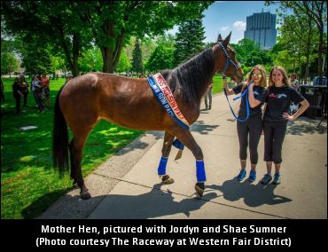 Miss Molson Pace Winner Crowned Miss Molson Pace Winner Crowned