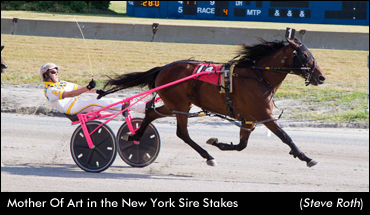 Mother Of Art Fastest In NY Stakes