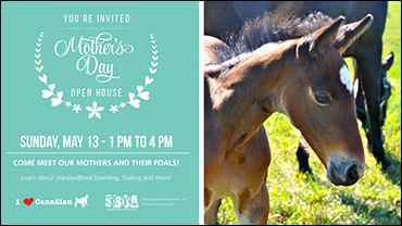 Mother's Day Open Houses Set