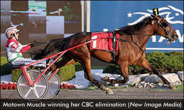 Favourites Deliver In CBC Trot Elims