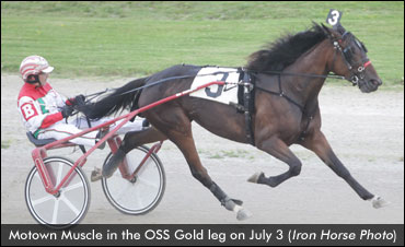 Motown Muscle Tops OSS Fillies
