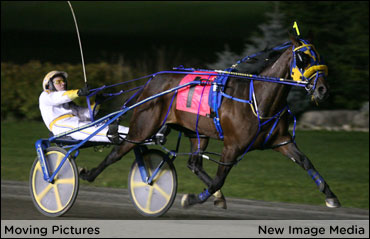 Moving Pictures’ First Foal Not Camera Shy