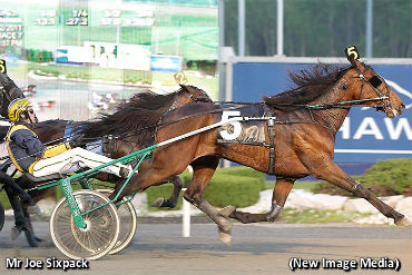 Gold Fever Hits Mohawk