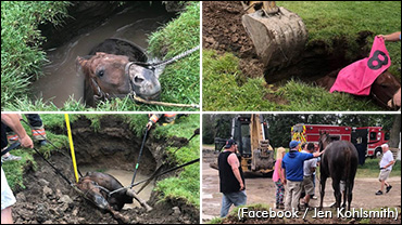 From Sinkhole To The Winner's Circle