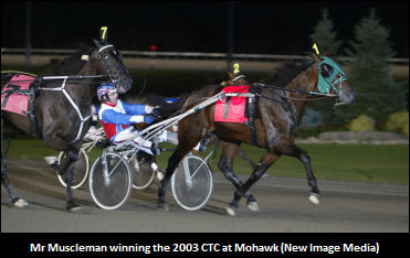 'Muscleman' Flexing At Kentucky Horse Park