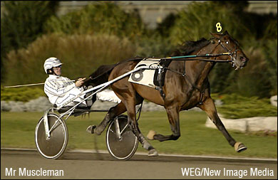 Mr Muscleman Retired