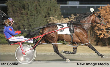 Mr Coolie Does It Again In Ontario Boys