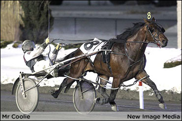 Mr Coolie Makes A Clean Sweep In Ontario Boys