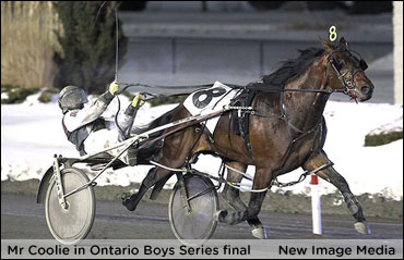 Mr Coolie Carries Streak Into Cam Fella Series