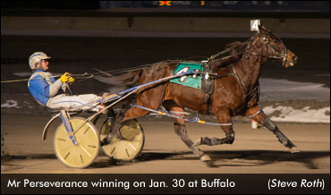 Mr Perseverance Impressive In Return