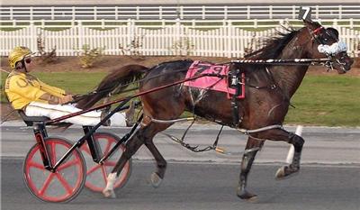 Mr Wiggles Fastest In DSBF