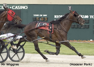 Mr Wiggles Wins Hoosier Cup