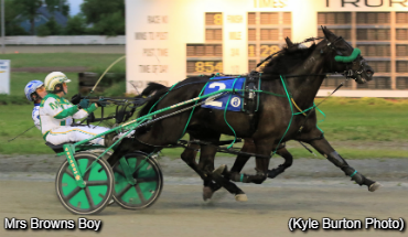 Nova Scotia Stake To Mrs Browns Boy Nova Scotia Stake To Mrs Browns Boy