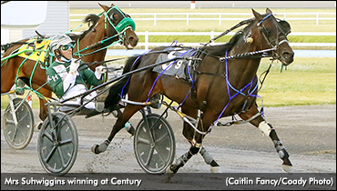 Mrs Suhwiggins Snags Century Open