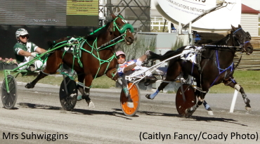 Team Campbell Sweeps Century Opens