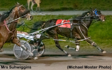 Mrs Suhwiggins Bounces Back