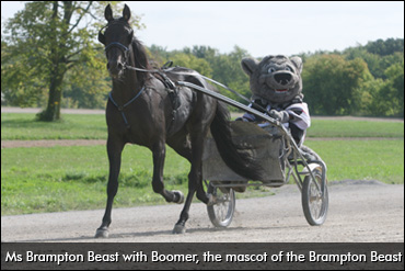 Brampton Beast Teams With The Stable