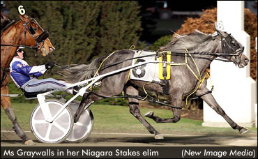 Zeron Doubles In Niagara Elims