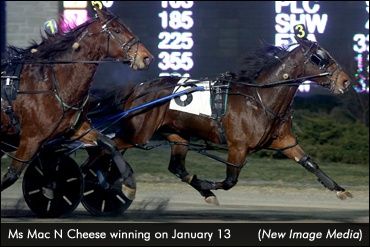 Moreau Mares Star In Preferred