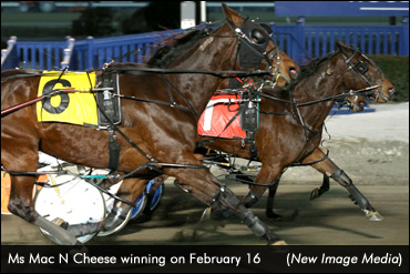 Ms Mac N Cheese Triples In Preferred