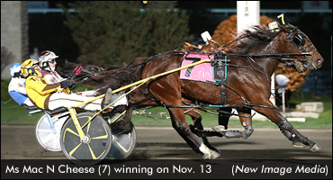 Ms Mac N Cheese Defeats Mares