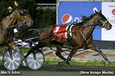 Much Adoo Upsets Mohawk Mares