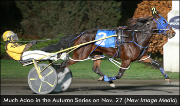 Repeat Winners In Autumn Series