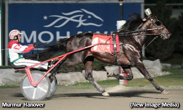 Mohawk Mastery For Majestic Sons 