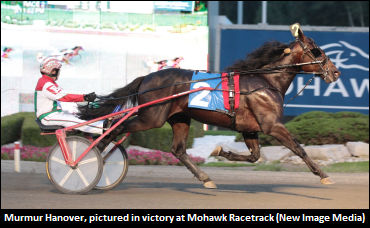 Could A 'Murmur' Turn Into A Roar?