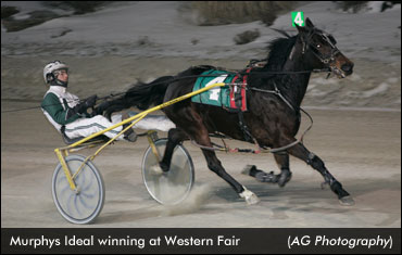 Murphys Ideal Wins Mares Preferred