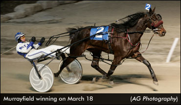 Murrayfield Triumphs In Preferred