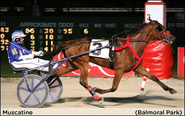 'Lincoln' Elims In The Books