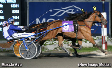 Trotting Colts Clash In Grassroots 